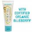 Jack N’ Jill Organic Toothpaste – Blueberry