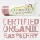 Jack N' Jill Organic Toothpaste - Raspberry